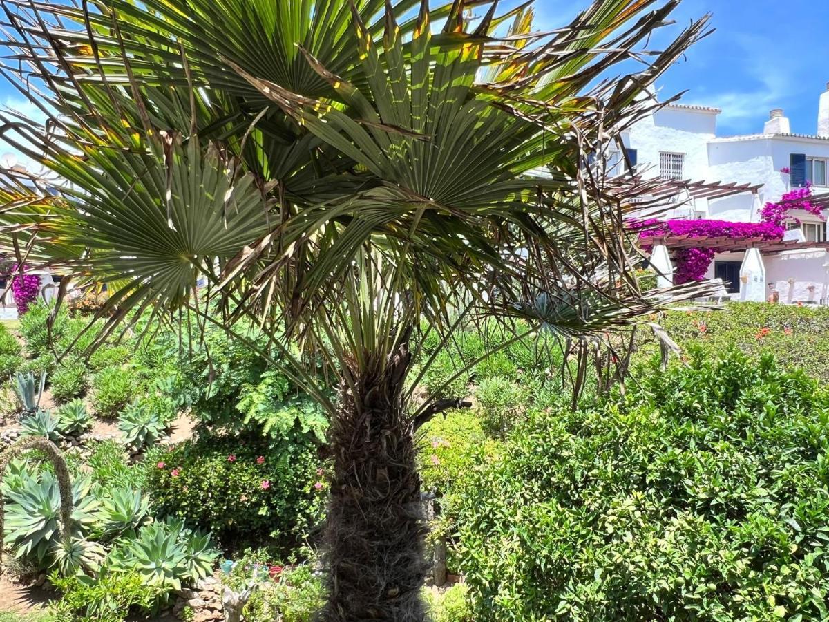Newly Renovated 2 Bedroom Beachfront House Sitio de Calahonda エクステリア 写真