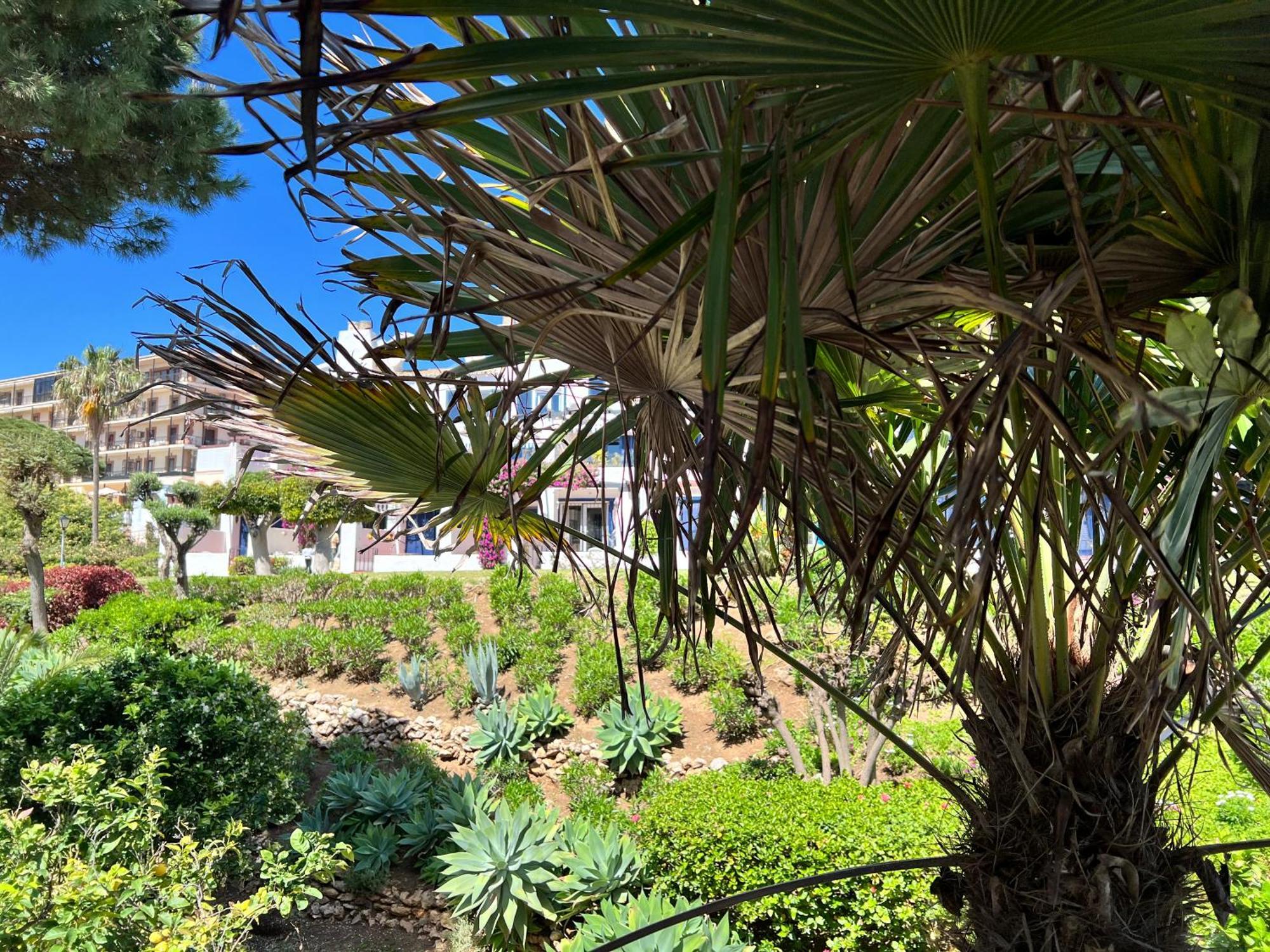 Newly Renovated 2 Bedroom Beachfront House Sitio de Calahonda エクステリア 写真